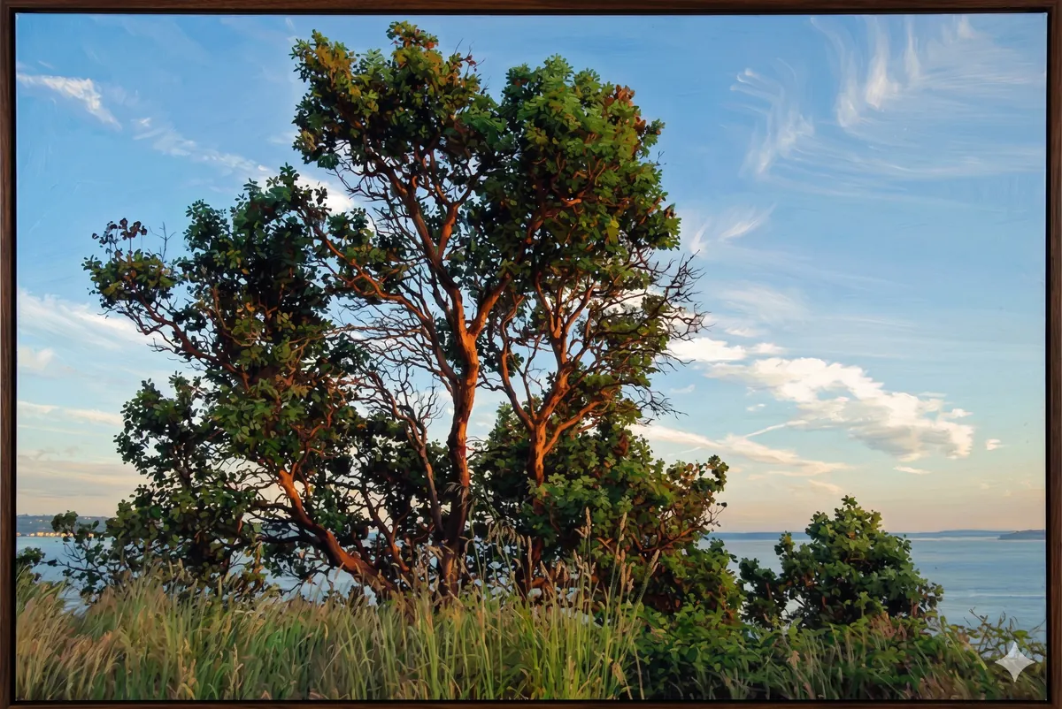 Coastal Tree Meadow