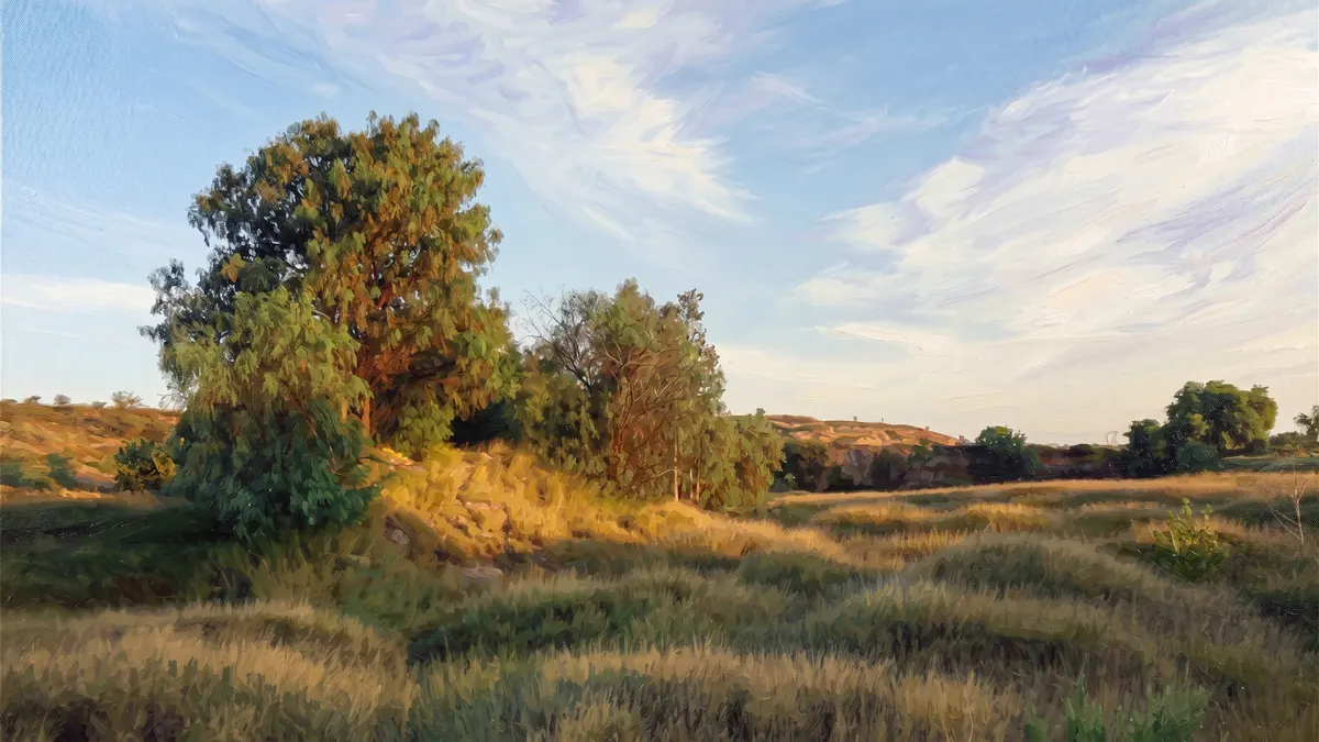 Sunlit Grassland
